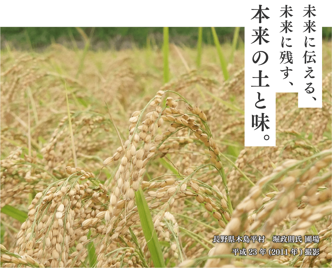 長野県木島平村自然農法圃場